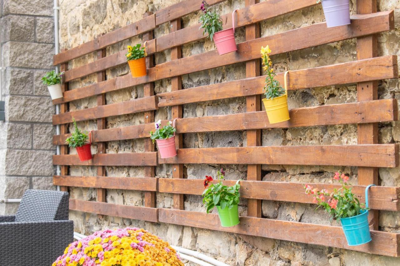 Acogedora Casa Rural Con Jardin Y Barbacoa Proxima A Pamplona Ilzarbe Εξωτερικό φωτογραφία